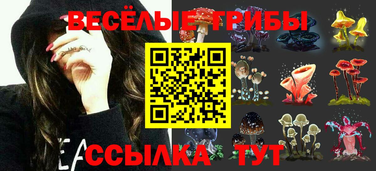 Десногорск  Псилоцибиновые грибы Psilocybine cubensis  Вход с VPN 